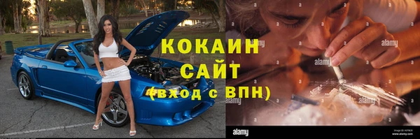 хмурый Аркадак
