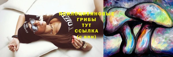 каннабис Алзамай